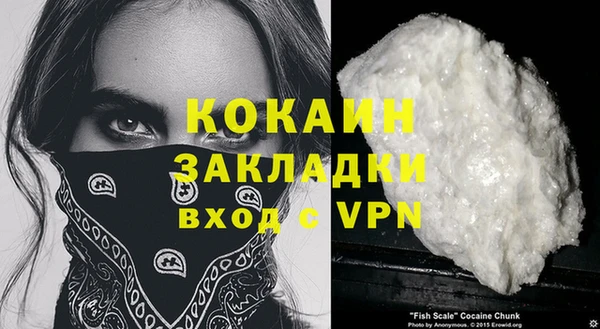дживик Ладушкин
