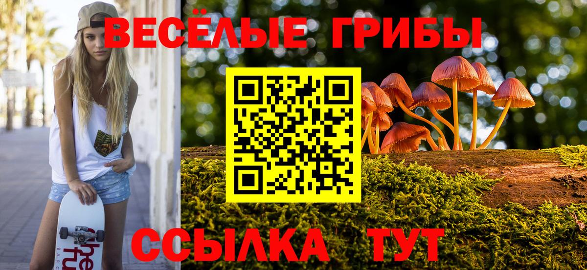 Галлюциногенные грибы Psilocybine cubensis  Вход с VPN  Псилоцибиновые грибы мицелий  Котлас 